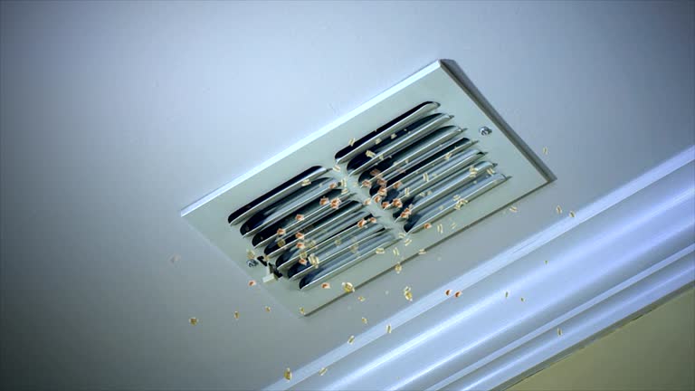 Best Residential Air Duct Cleaning  in Ojai, CA