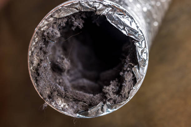 Best HVAC Duct Inspection Services  in Ojai, CA